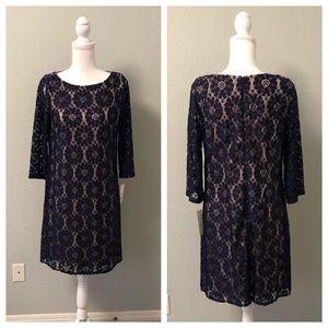 NWT Eliza J Navy Lace Shift Dress - Size 12